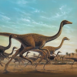 Sinornithomimus pictures