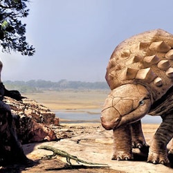 Panoplosaurus pictures