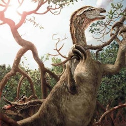 Nothronychus pictures