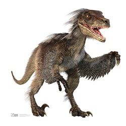 Velociraptor pictures