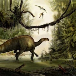 Tenontosaurus pictures