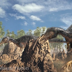 Alvarezsaurus pictures