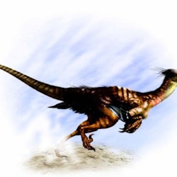 Buitreraptor pictures