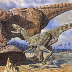 Carcharodontosaurus pictures