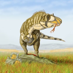 Daspletosaurus pictures