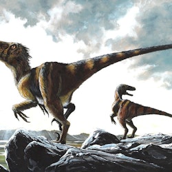 Deinonychus pictures