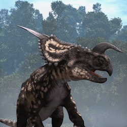 Einiosaurus pictures