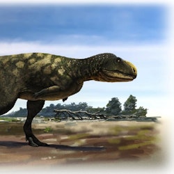 Eoabelisaurus pictures