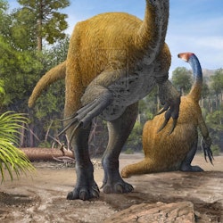 Erlikosaurus pictures