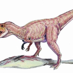 Eustreptospondylus pictures