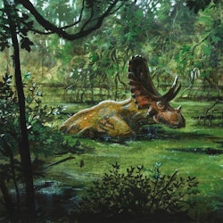 Judiceratops pictures