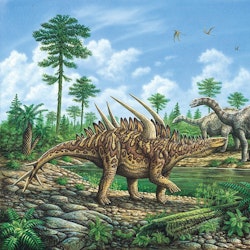 Huayangosaurus pictures