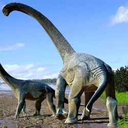 Savannasaurus pictures