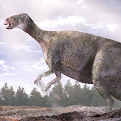 Lanzhousaurus pictures