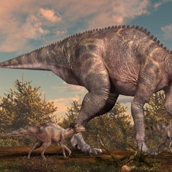 Maiasaura pictures