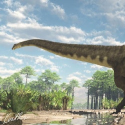 Mamenchisaurus pictures