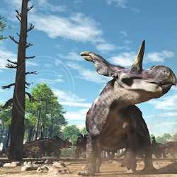 Medusaceratops pictures