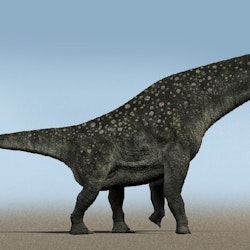 Titanosaurus pictures