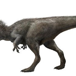 Yutyrannus pictures